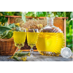 Медові напої: подорож у світ корисного алкоголю