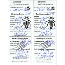 Плідна бджолина матка Карніка (Об'єднання Маткарів України)