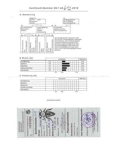 Плідна бджолина матка Карпатка (Об'єднання Маткарів України)