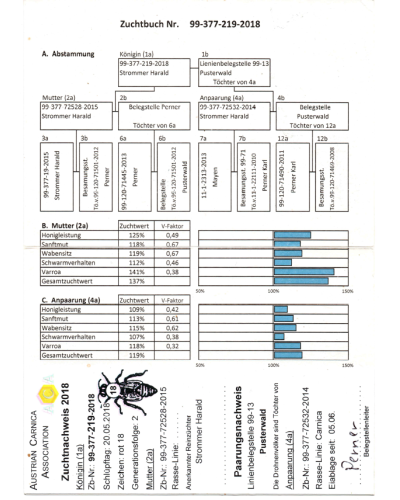 Плідна бджолина матка Карпатка (Об'єднання Маткарів України)
