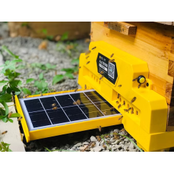 Смарт-вулики в бджільництві: як автоматизація змінює пасіки