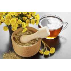 Мати-і-мачуха як ліки