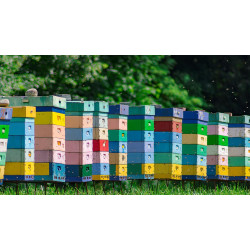 Як й чим пофарбувати вулик