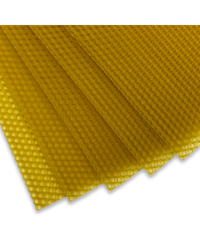 Вощина "Дадан" (Виробник ФОП "Печак" Вінницька обл.)