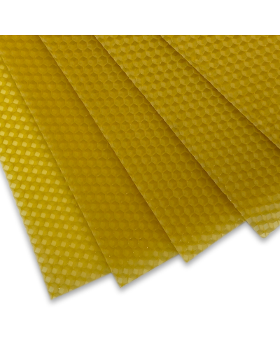 Вощина Дадан "Київоблбджолопром" (Київська)