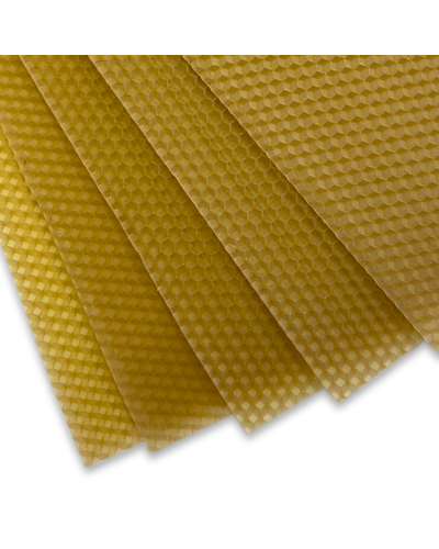 Вощина Рута (Київська)