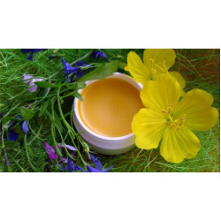 Воскова мазь: що це і як використовується у народній медицині