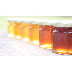 Який мед найкорисніший?