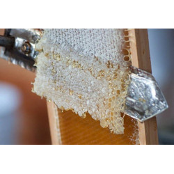 Що таке забрус, його походження та склад