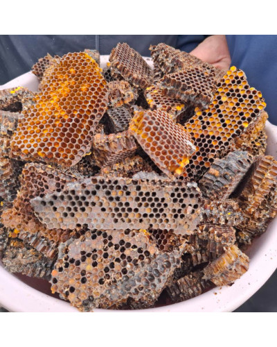 Устройство для извлечения перги (с циклоном)