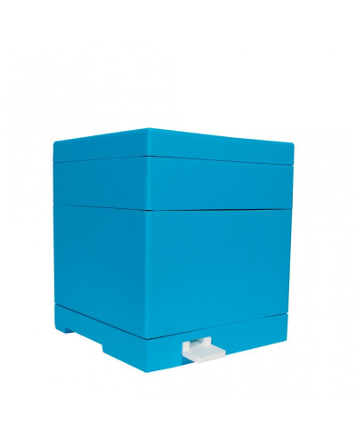 Нуклеус пенополистирол на 2 семьи Lyson крашеный