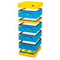 Вулик пінополістирольний Дадан 1/2 на 10 рамок Lyson з низьким дном фарбований