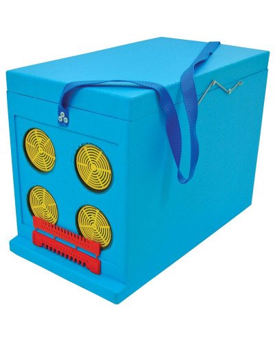 Ящик Дадан для транспортування бджіл 6-рамковий, фарбований