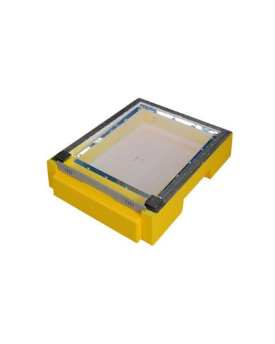 Дно для 10-ти рамкового вулика Lyson пінополістирольне гігієнічне фарбоване