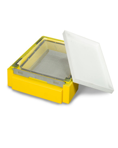 Дно для 10-ти рамкового вулика Lyson пінополістирольне гігієнічне фарбоване