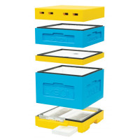 Вулик пінополістирольний Дадан на 12 рамок Lyson з гігієнічним дном на дві сім'ї фарбований