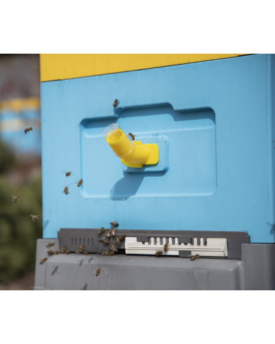 Сигналізатор рою