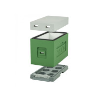 Вулик пінополістирольний для вирощування пакетів Дадан на 6 рамок (пластикове дно) фарбований зелений