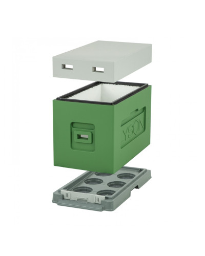 Вулик пінополістирольний для вирощування пакетів Дадан на 6 рамок (пластикове дно) фарбований зелений