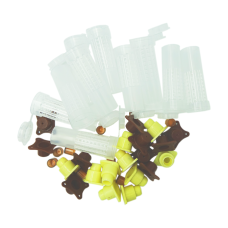 Комплект для виведення 10 маток (турецький стільник)