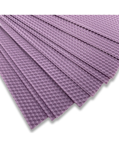 Вощина кольорова (бузкова)