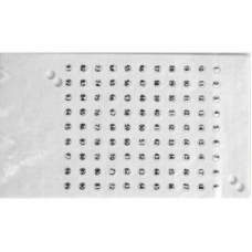 Мітки для бджолиних маток чеські один колір