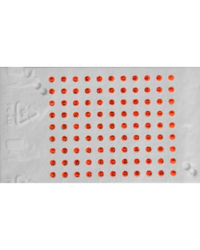 Мітки для бджолиних маток чеські один колір