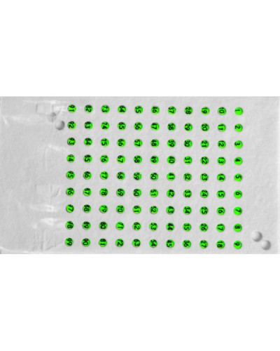 Мітки для бджолиних маток чеські один колір