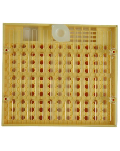 Касета для виведення бджолиних маток Нікот