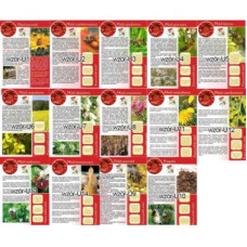 Брошурки інформаційні (на польській мові) (20 однакових)